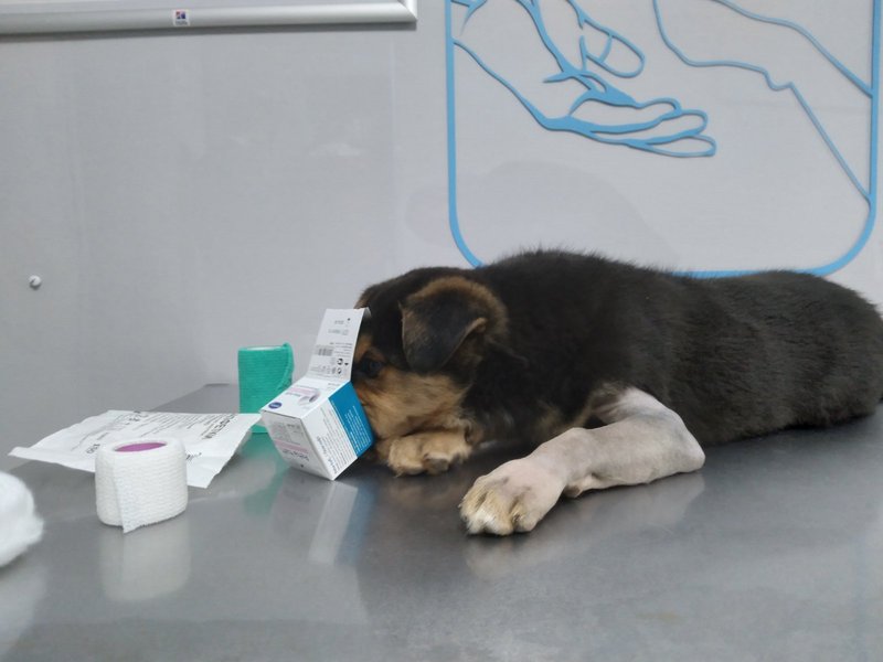 изображение_viber_2022-12-10_22-37-07-408