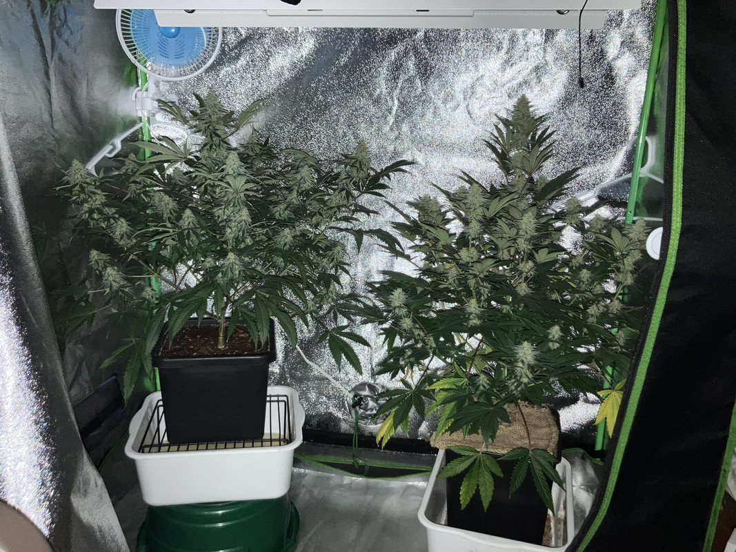 495B467C-180A-4550-A4FF-9775AAFA287D