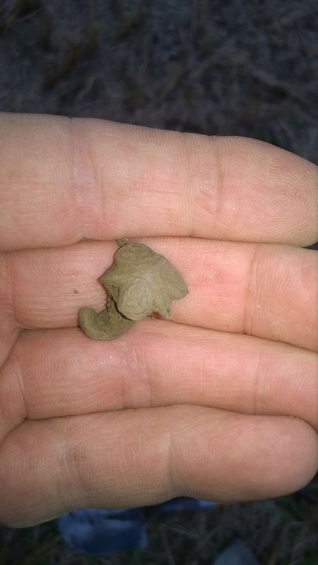 niitti