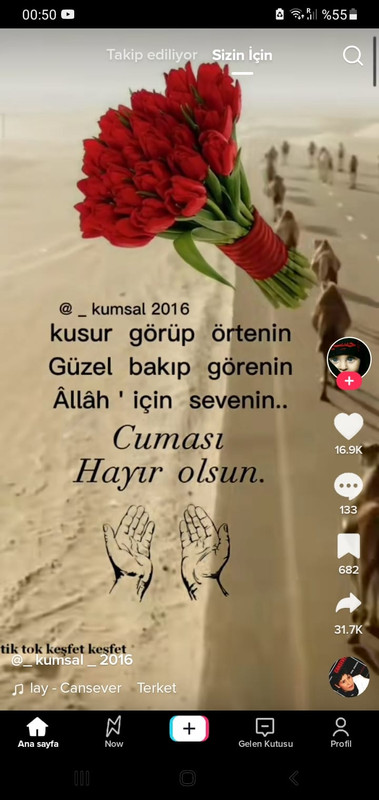 resim