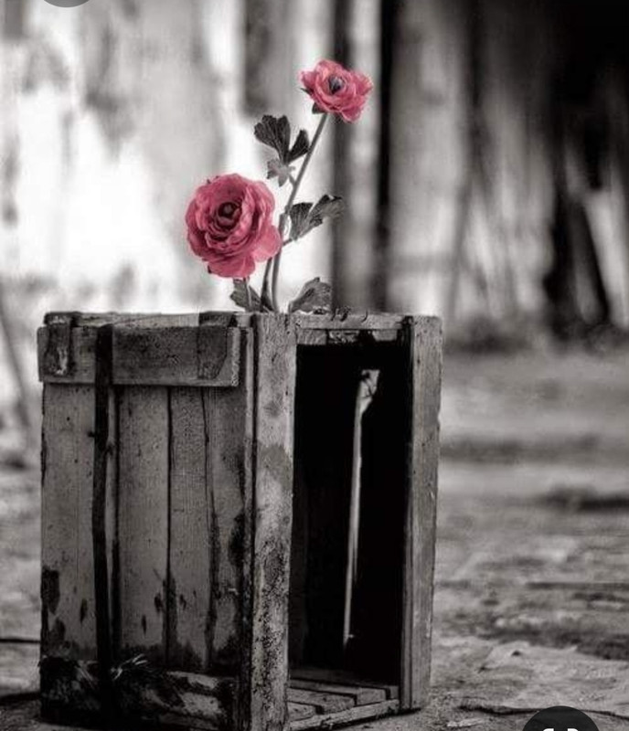 Screenshot_20230409_225207_Pinterest