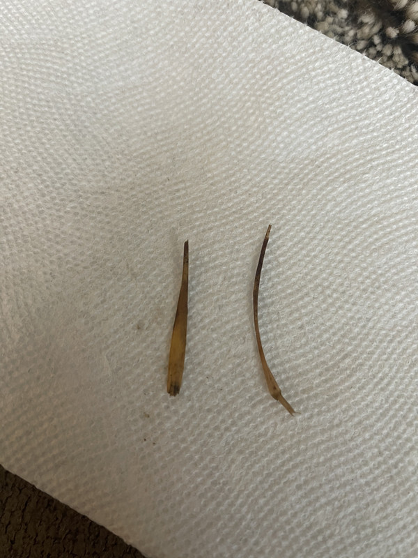 AC75455B-81C9-439B-929A-EB345194B712