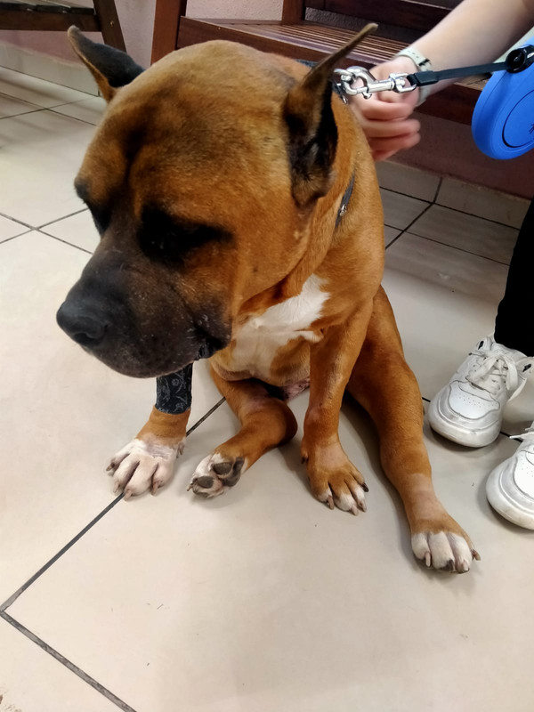 WhatsApp Image 2023-08-15 at 20.24.59 (1)