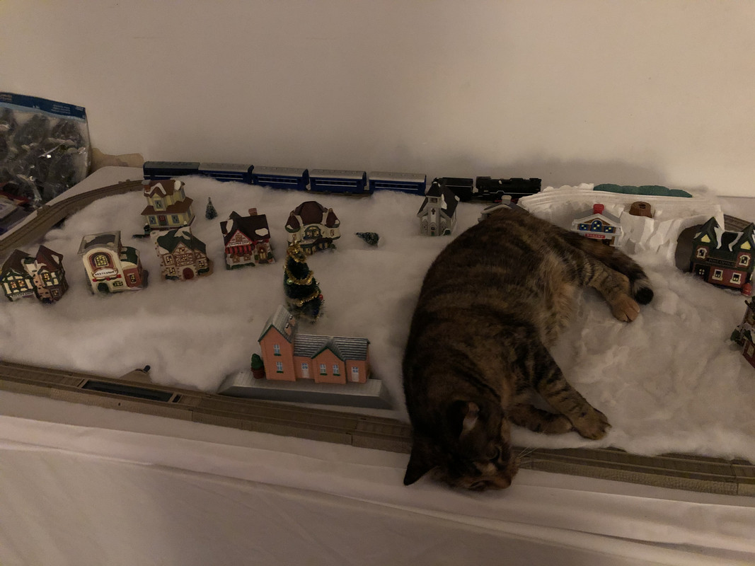 443F1A52-0557-413A-8AD6-E172E81F0708