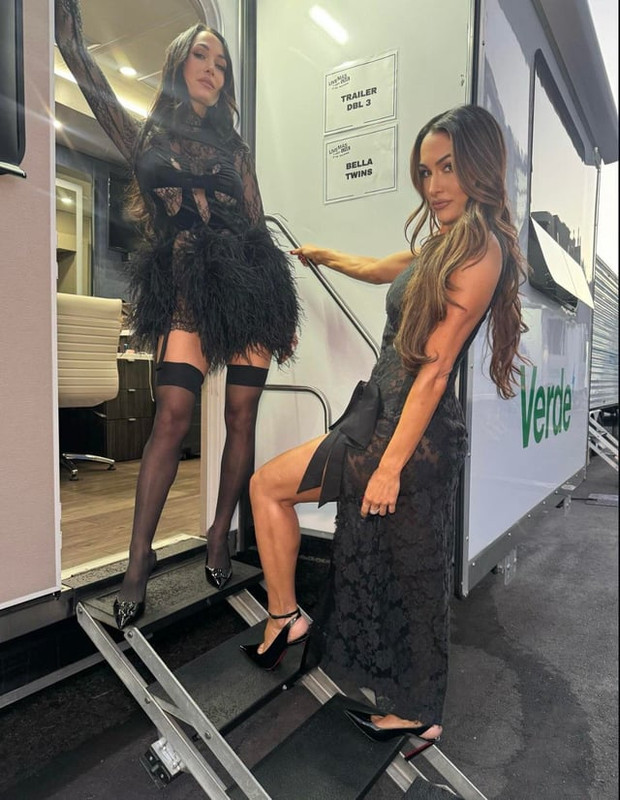 the-bella-twins-nikki-and-brie-as-goddesses-of-the-hour-v0-45vebrxwdxyg1.jpg