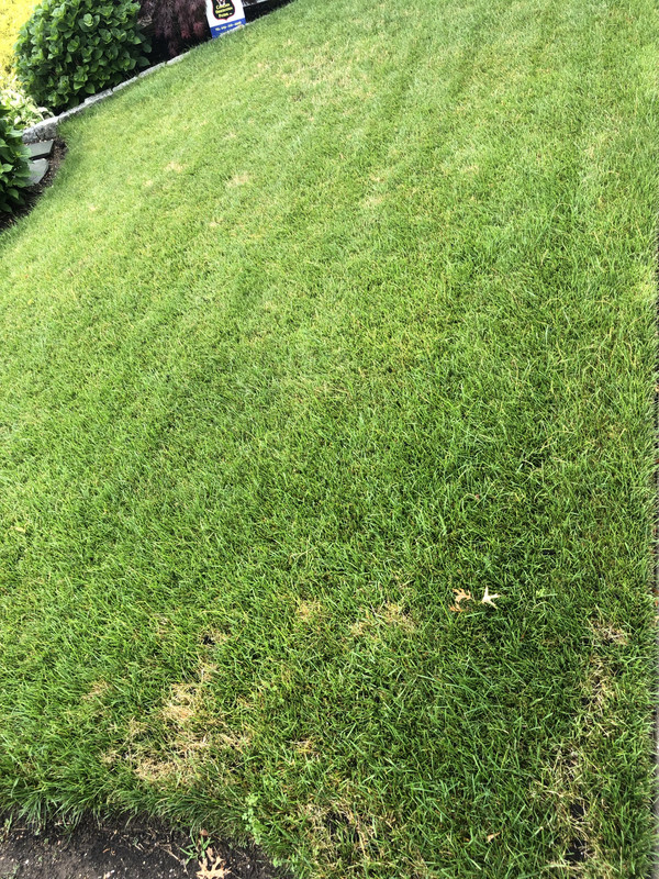 CABF29A3-26CF-41F0-94DF-38A8482F946E