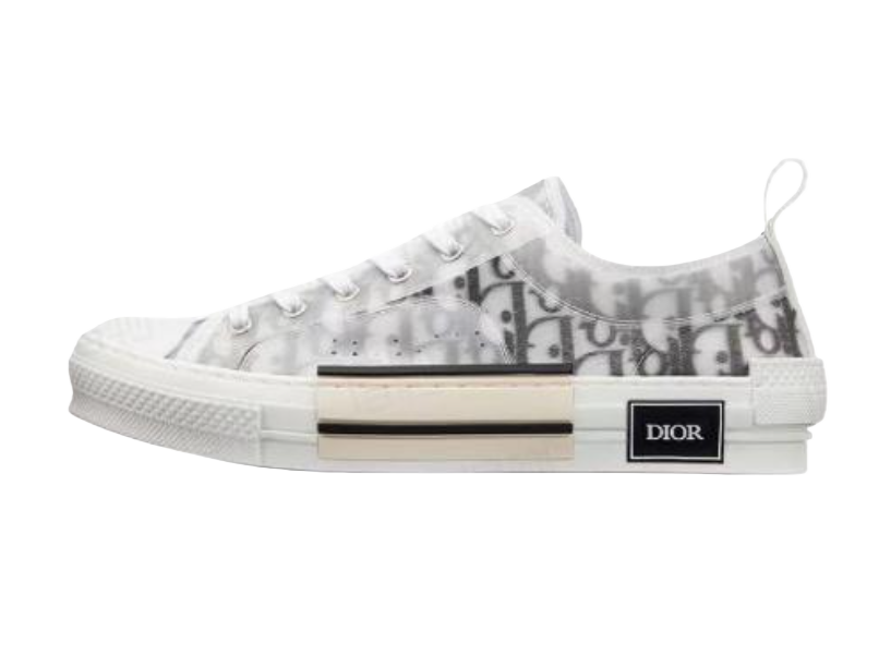 Dior Low B23