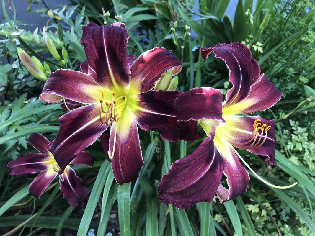 0692823D-B00B-4F6D-9269-AD3EE8896B0C