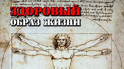 Яйца в бодибилдинге вредны ли яйца (белок vs холестерин)