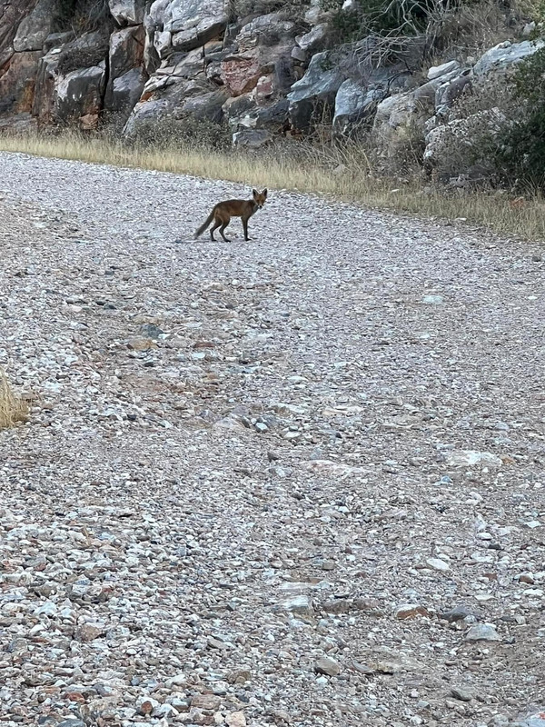 A465F973-72B2-4F43-983C-16F942604F8D