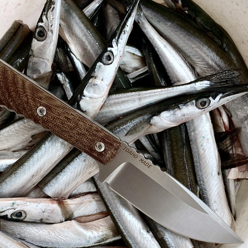 7E402C0E-2D56-4027-BC5C-5C048FA5C659