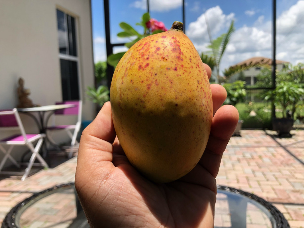 50A71825-AC16-4CE6-9A43-02401D2C504B