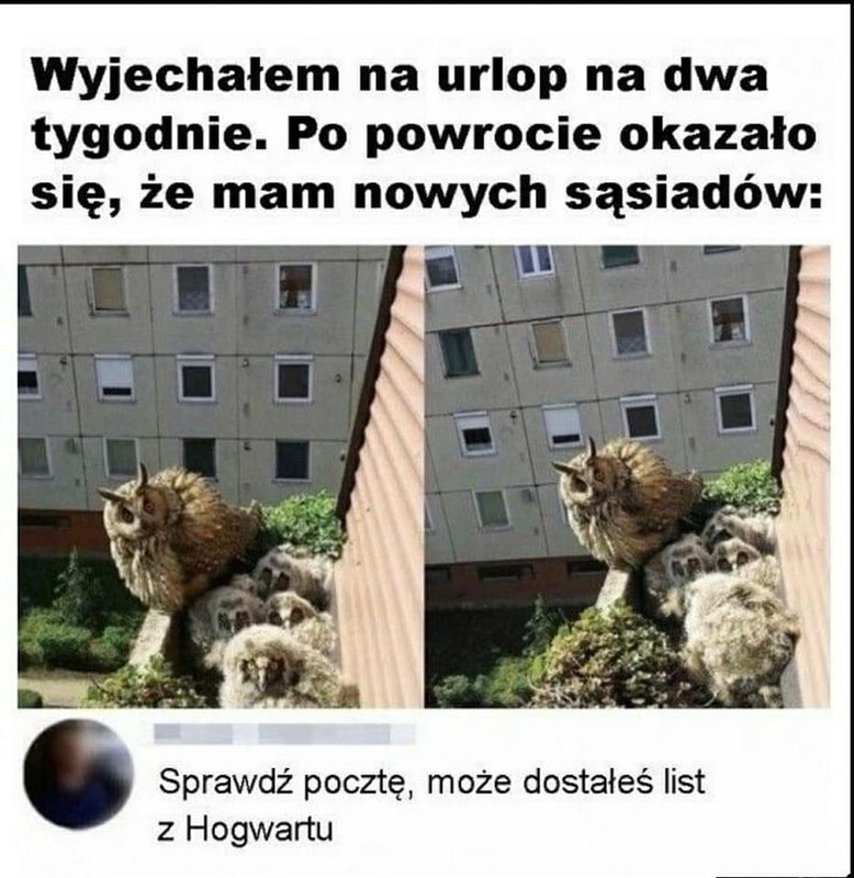 https://i.postimg.cc/6q088Ft3/hogwart.jpg