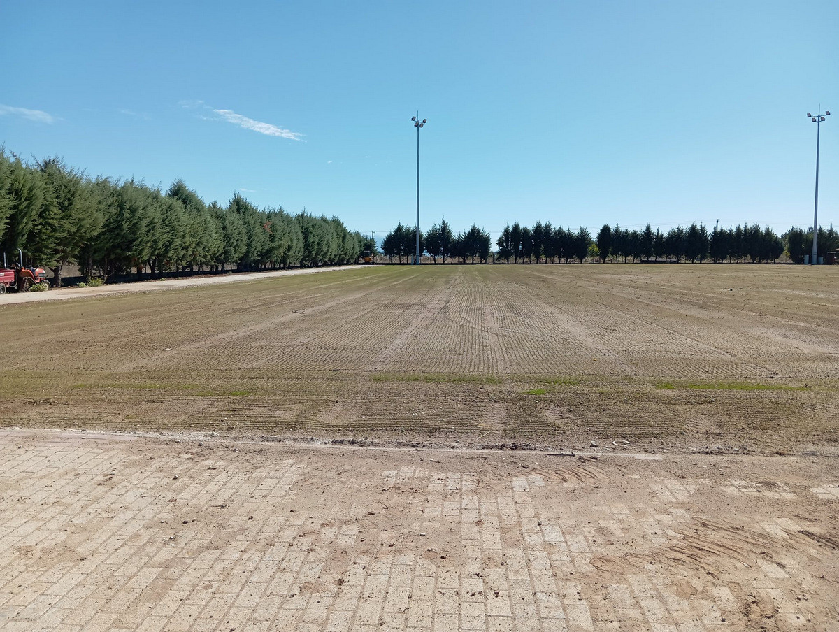 587082097 25150424257953393 5354468476797758020 n