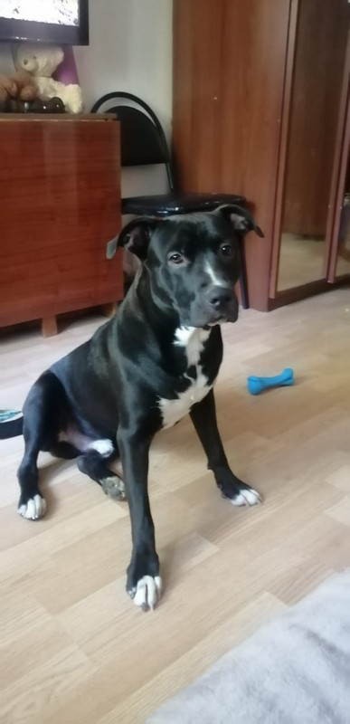 C784E721-5688-426E-BA9D-BC320D2B3592