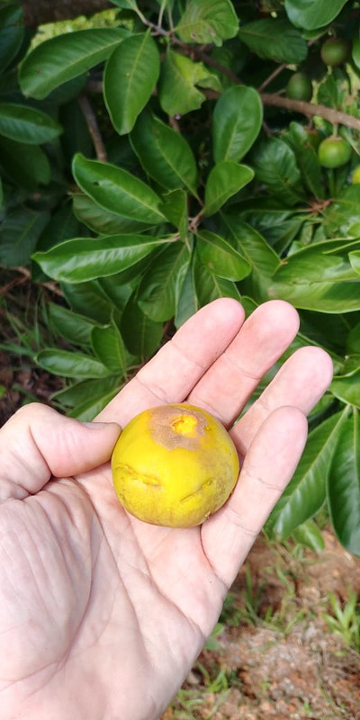 WhatsApp Image 2020-12-17 at 10.11.16(1)