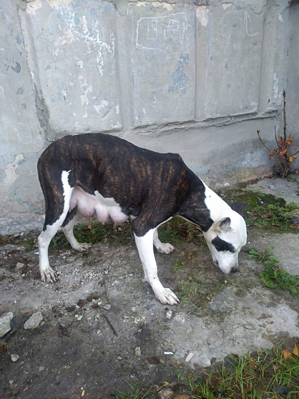 8F02A320-7288-408D-98C1-3232AEE5B011