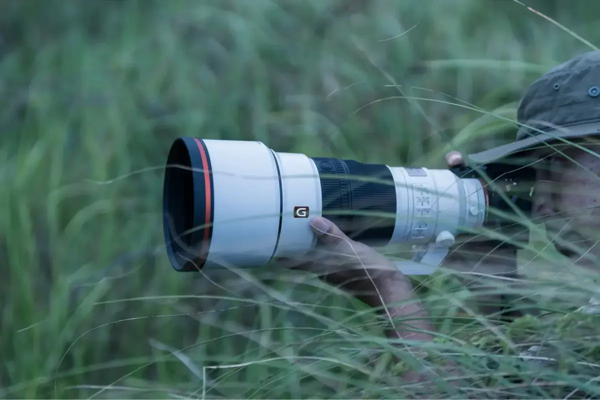 8178478-sony-fe-300mm-f-2-1920x1280-1.webp