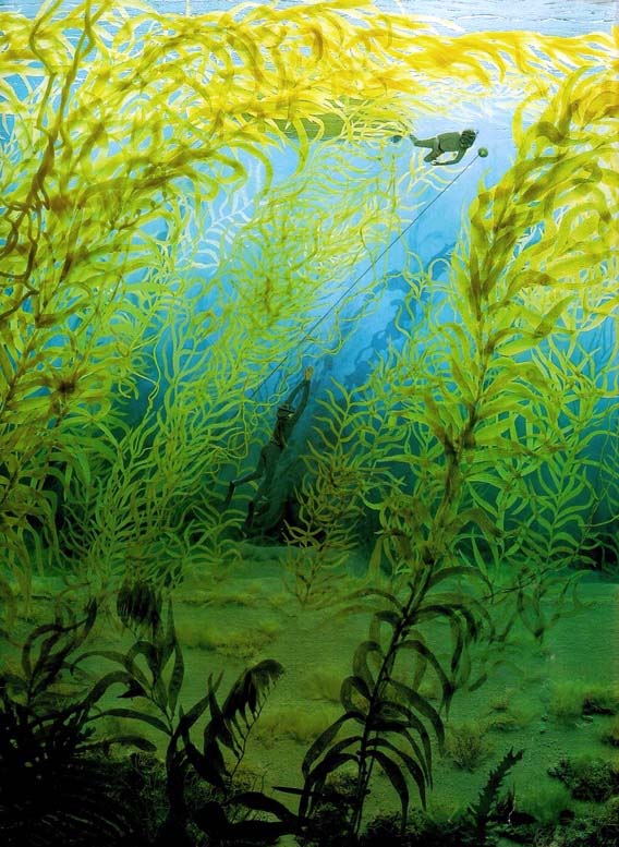 main-qimg-5f8abe4220ea0440e6a1eea3cccacce1-c