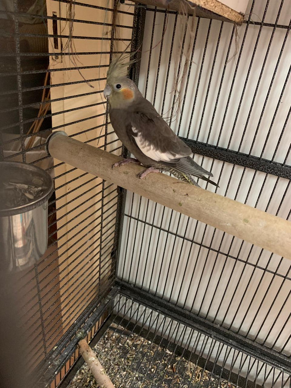 4282FEAD-BB02-4E8D-A2AF-DE3EEEDF7A94