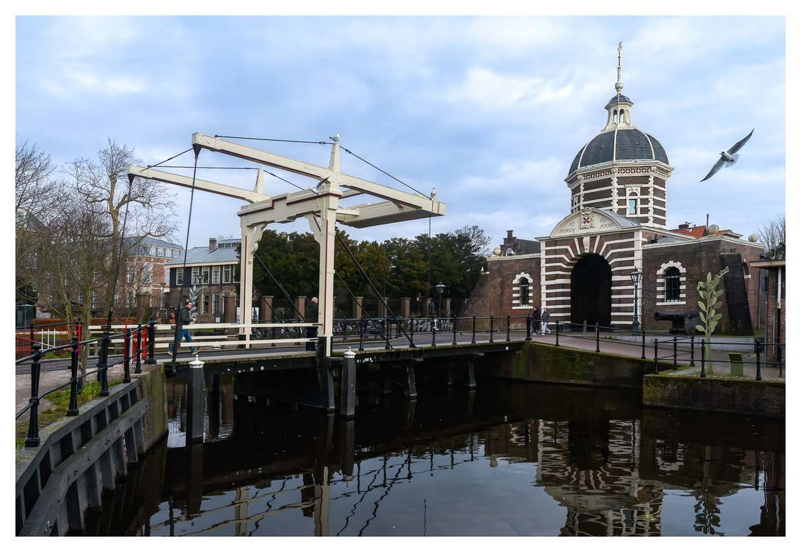 Fotografie
