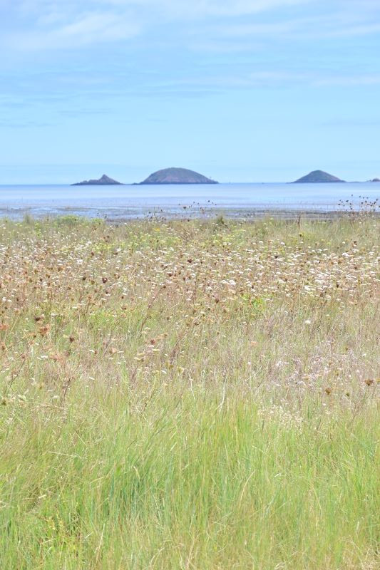 10 días de verano en la Bretaña francesa - Blogs de Francia - Introducción (1)