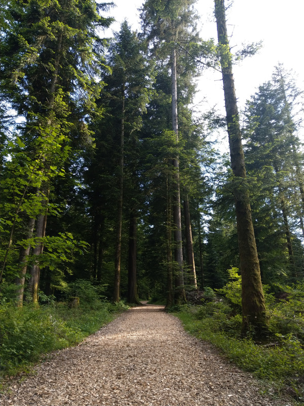 0A30B215-96FA-4843-AF71-DD6DB8D0F4FA