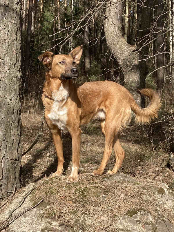 изображение_viber_2022-04-05_13-50-15-723