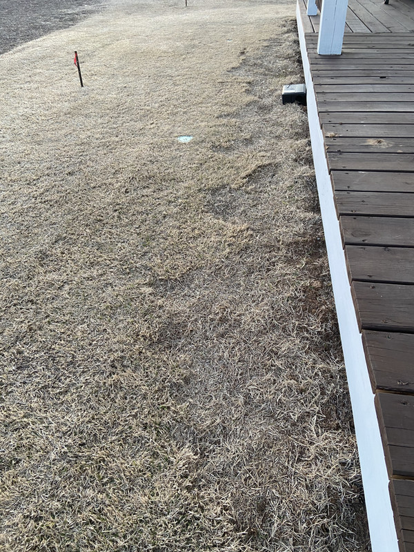 4FDD6017-3928-481E-BC0C-8BB31149C15E