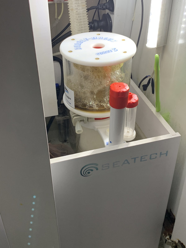 039E03D9-A379-4F36-AB2B-4E19DBD5397F