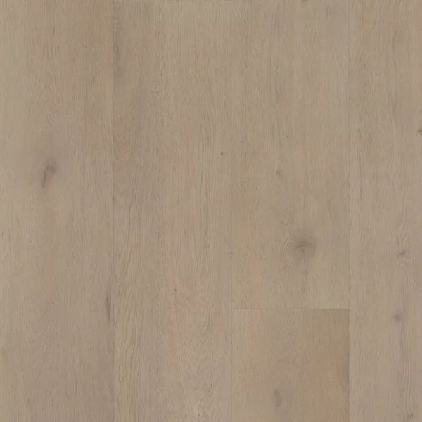 Attico 830