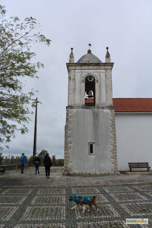 image042