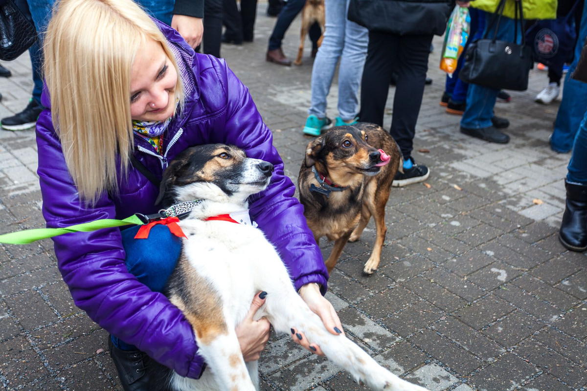 28B01EAF-76EE-4E7B-AAA3-DEFA2BCD89F8