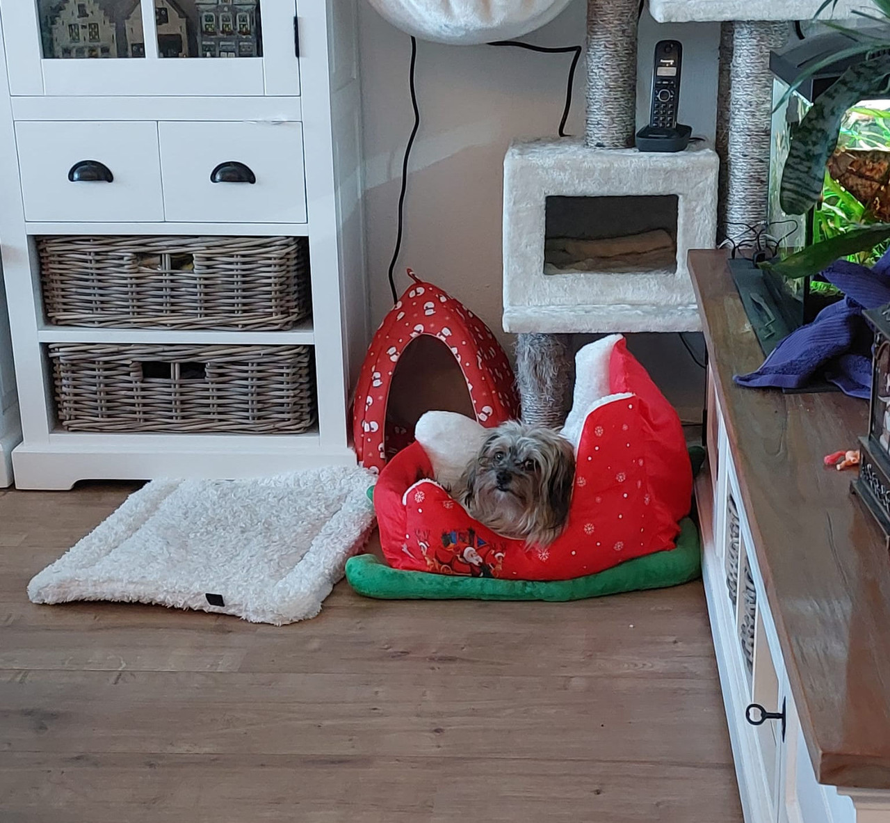 Afbeelding van Whats App op 2025 12 05 om 14 12 59 832061be