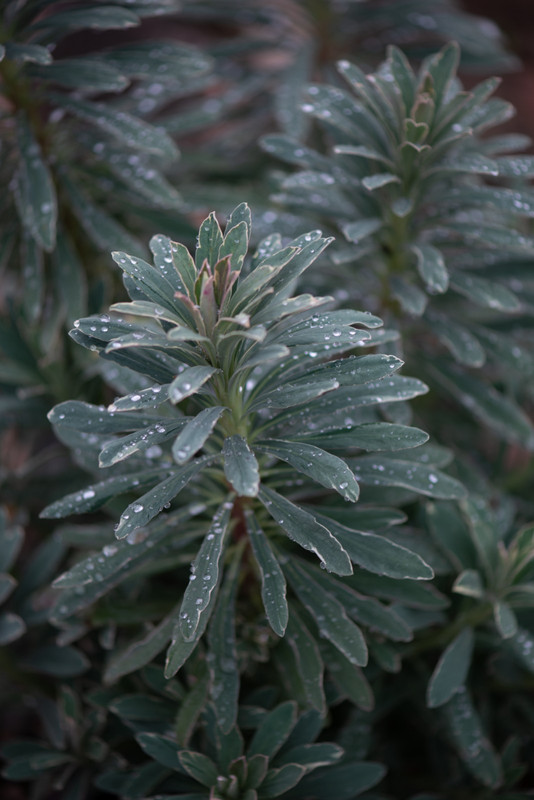IMG-4ecaf68f05e2ce6db45b645318f11bb0-V