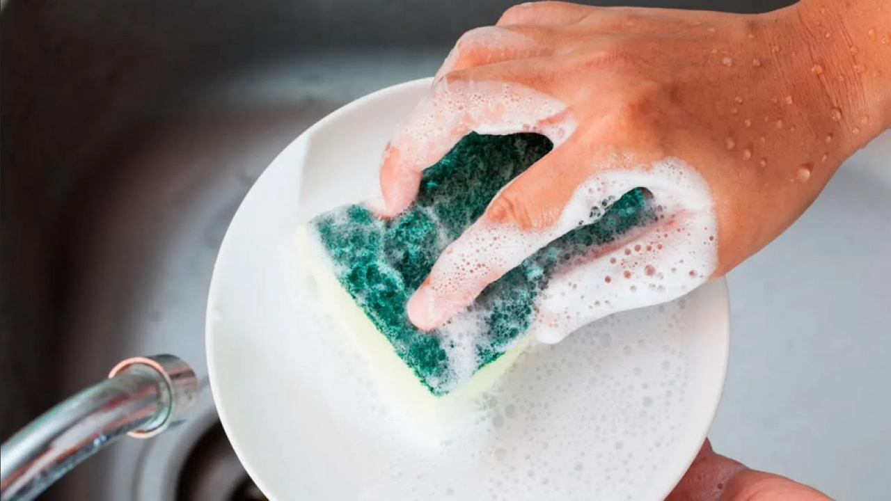 ¿Cada cuánto tiempo se debe cambiar la esponja de la cocina?