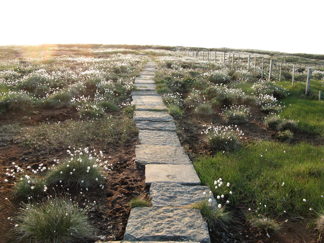 ADE03422-52D1-4620-BAF6-AE4548A8F039