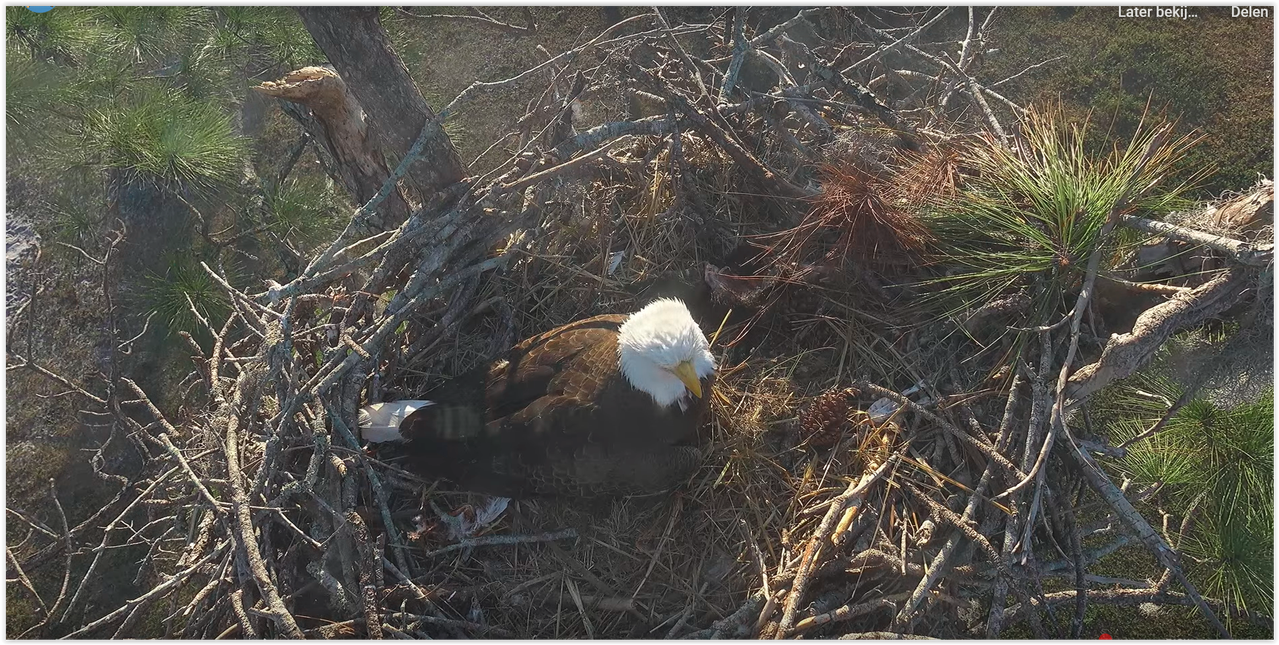 Screen Shot 12 26 25 at 04 08 PM