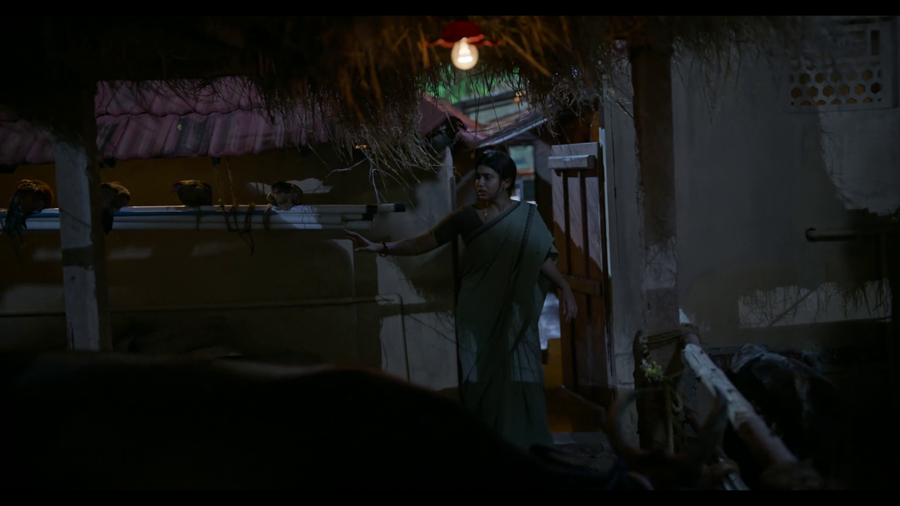 vlcsnap-2025-04-24-21h21m31s491