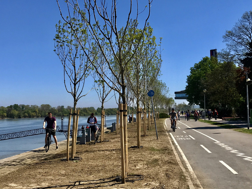 703EB03A-ACC5-4C2B-B184-289A87F4E787