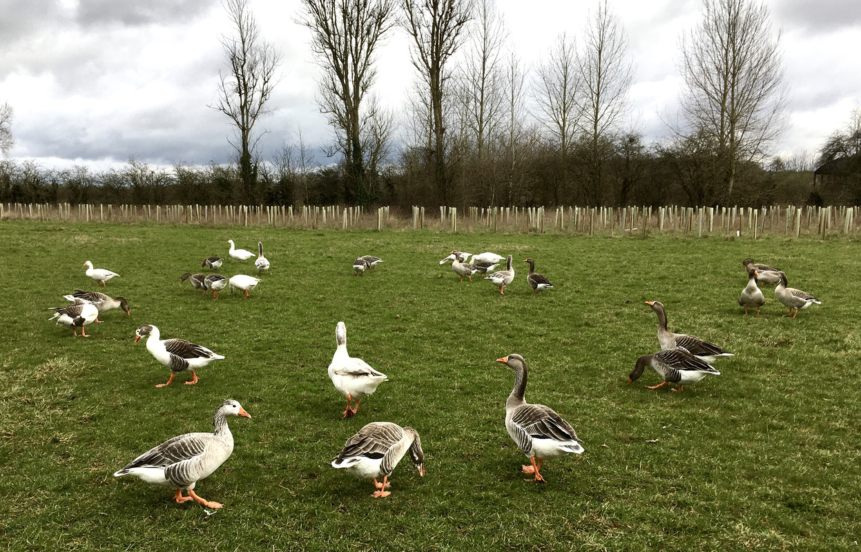 74BDBA00-ED1A-42BD-8C19-94F3E366A02D