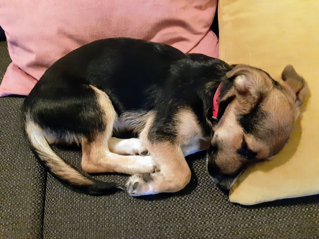 273875A1-523C-46BB-AD3C-0A43E0468D5D