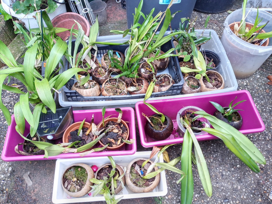 [Image: 20210906-112522.jpg]