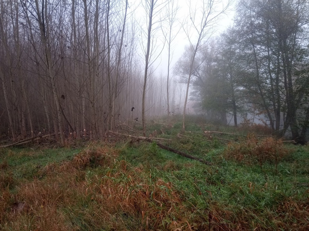 IMG_20241025_095120_274