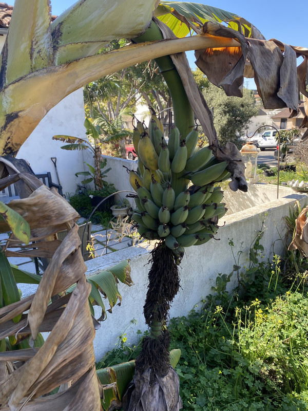 22790489-5641-4907-8014-FCED0A124B0C