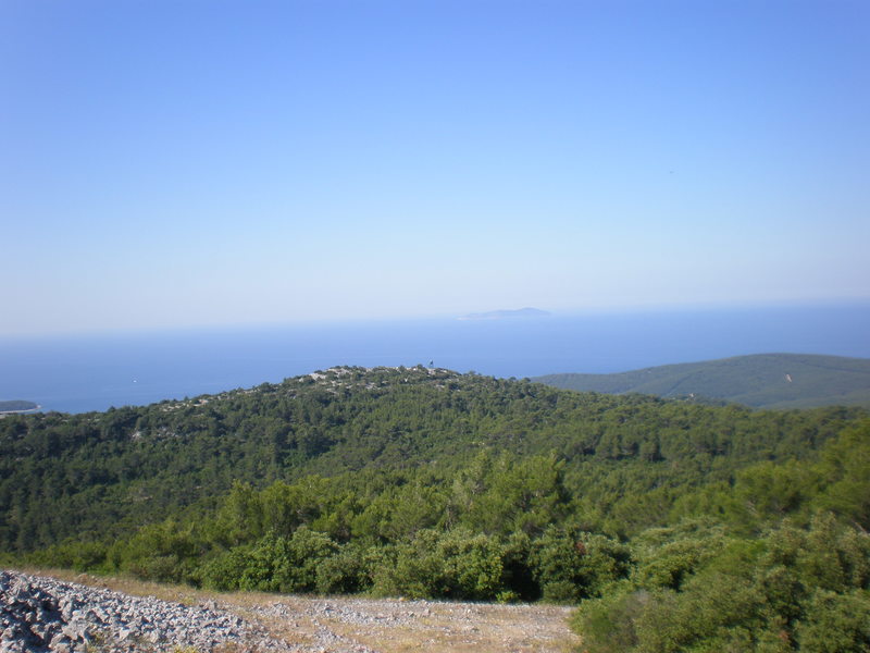 Picturevela luka 287