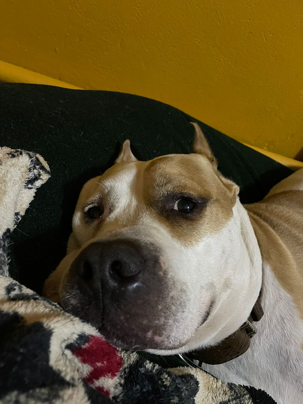 2778F466-9884-4FC1-B55D-4234398DE7C6