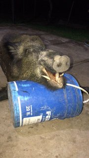 4876F446-3817-49AA-95E7-BFB21F9A97E1