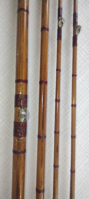 IMG_20220410_111400738