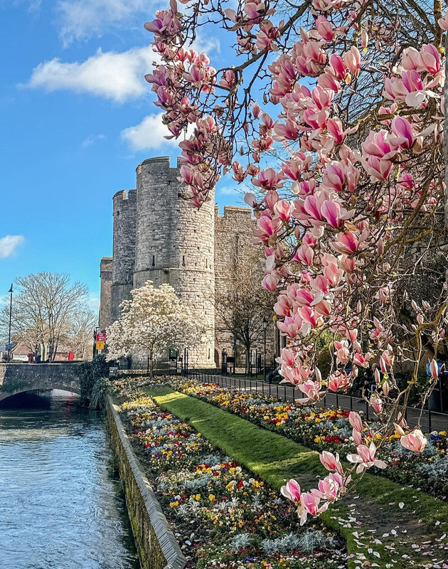 Screenshot_20240429_212151_Threads